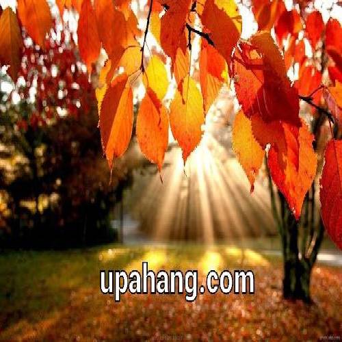 دانلود آهنگ غصه را رها کنیم مژده شادی آوریم معین